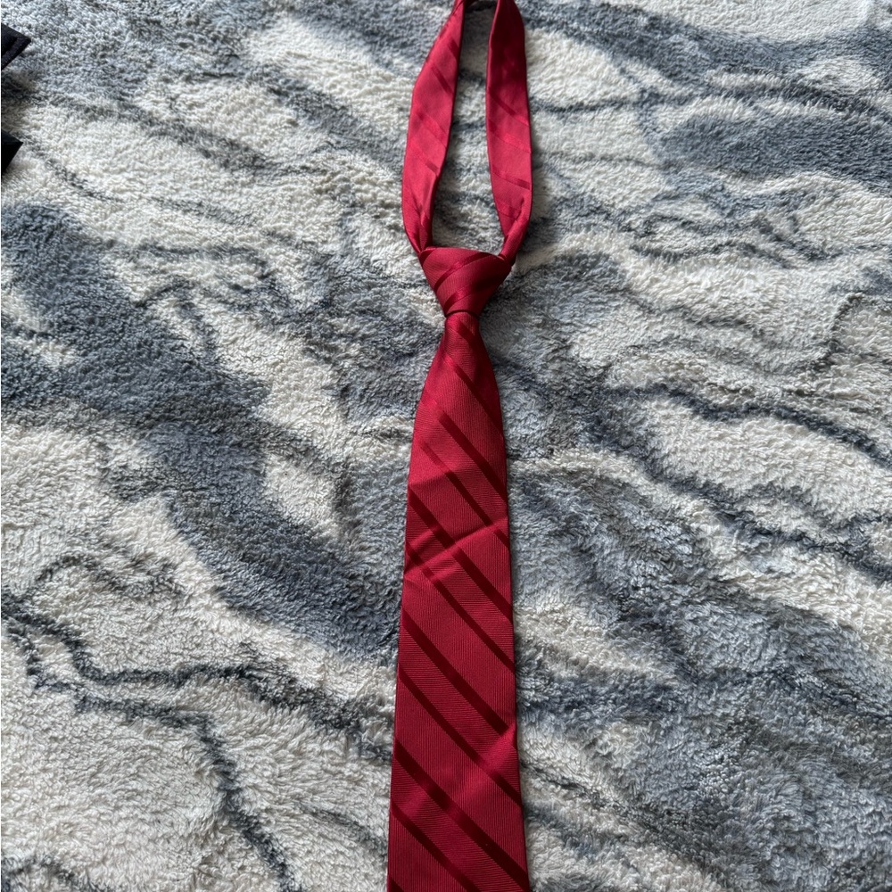 Pierre Cardin Deep Red Diagonal Tie